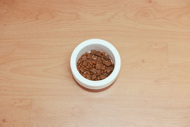 Bol de nourriture pour animaux