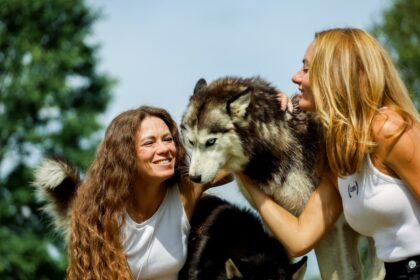 garde animaux