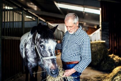 cheval mort