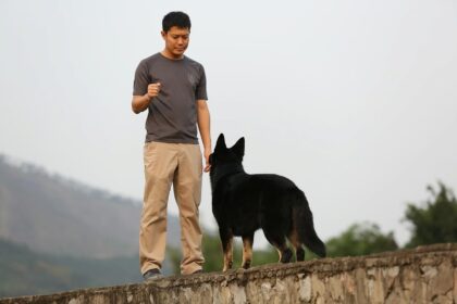 educateur canin