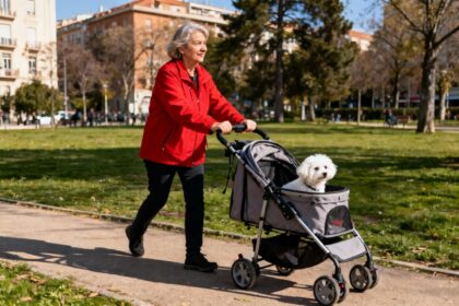 Femme de 55 ans en veste rouge poussant une poussette pour chien avec un petit chien blanc à l'intérieur, dans un parc ensoleillé