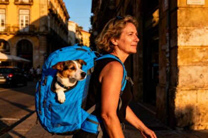 Femme de 45 ans marchant en ville avec son chien dans un sac à dos bleu vibrant pendant l'heure dorée